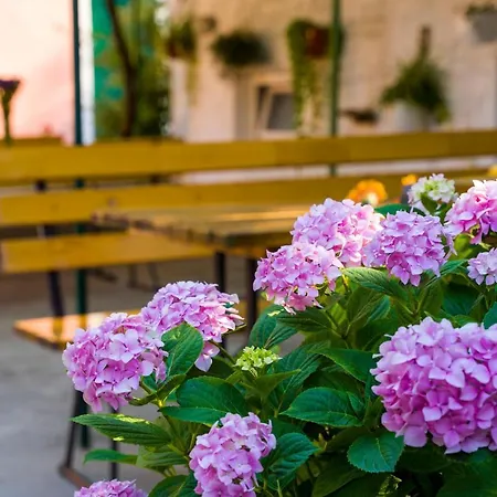 شقة Odrina سبليت