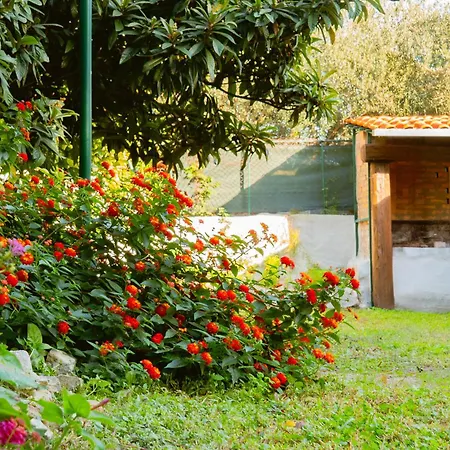 Odrina * 斯普利特