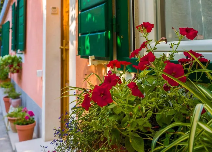 Апартаменты Odrina *